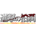 進撃の柏潤 (attack on titan)