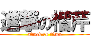 進撃の楷芹 (attack on titan)