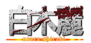 白木麗 (urara shiraki)