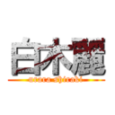 白木麗 (urara shiraki)