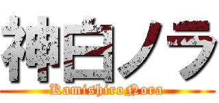 神白ノラ (KamishiroNora)