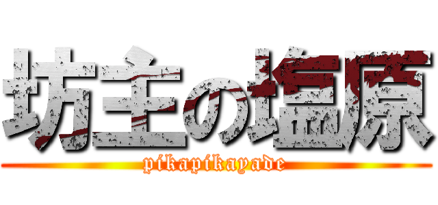 坊主の塩原 (pikapikayade)