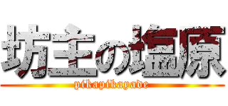 坊主の塩原 (pikapikayade)