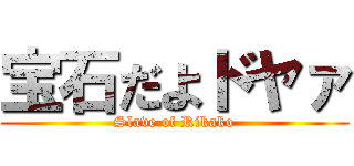 宝石だよドヤァ (Slave of Rikako)