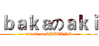 ｂａｋａのａｋｉ (attack on SHATANG)