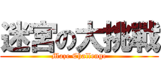 迷宮の大挑戰 (Maze Challenge)