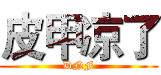 皮甲凉了 (DNF)