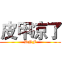 皮甲凉了 (DNF)