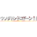 ウソダドンドコドーン！！ (ｳｪｪｪｪｲ!!!)