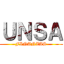 ＵＮＳＡ (FINANZAS)