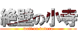 絶壁の小寺 (wall on kodera)