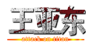 王亚东 (attack on titan)