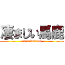 凄まじい馬鹿 (terrific　fool)