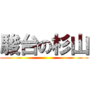 駿台の杉山 ()