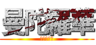 曼陀羅華 (マンダラゲ)