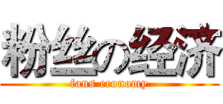 粉丝の经济 (fans economy)