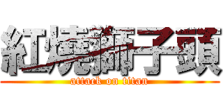 紅燒獅子頭 (attack on titan)