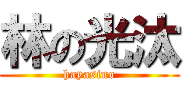 林の光汰 (hayasino)