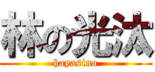 林の光汰 (hayasino)