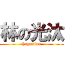 林の光汰 (hayasino)