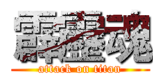 霹靂魂 (attack on titan)