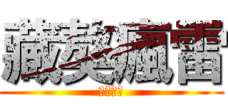 藏獒瘋雷 (藏獒瘋雷)