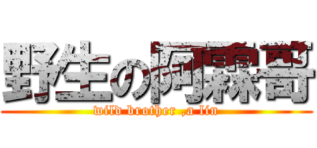 野生の阿霖哥 (wild brother ,a lin)