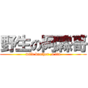 野生の阿霖哥 (wild brother ,a lin)