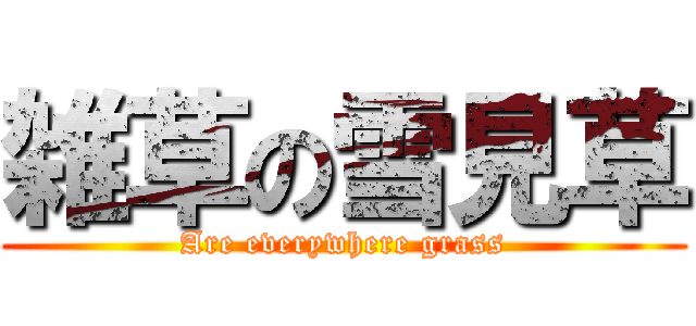 雑草の雪見草 (Are everywhere grass)