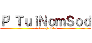 Ｐ\'ＴｕｉＮｏｍＳｏｄ (attack on NomSod)
