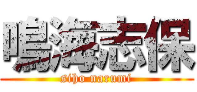 鳴海志保 (siho narumi)