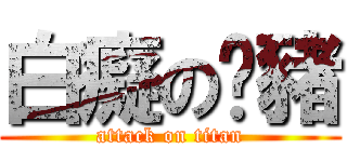 白癡の姵豬 (attack on titan)