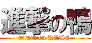 進撃の鴨 (attack on KAMO)