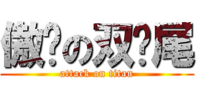 傲娇の双马尾 (attack on titan)