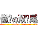 傲娇の双马尾 (attack on titan)