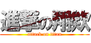進撃の翔欸 (attack on titan)