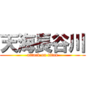 天海長谷川 (attack on titan)