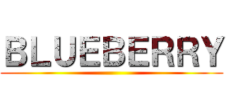 ＢＬＵＥＢＥＲＲＹ ()