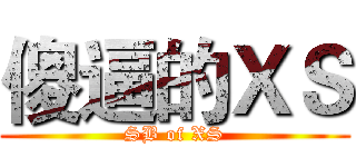 傻逼的ＸＳ (SB of XS)