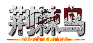 荆棘鸟 (attack on titan)