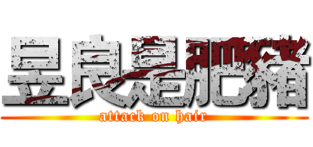 昱良是肥豬 (attack on hair)