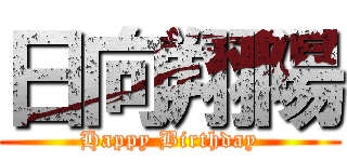 日向翔陽 (Happy Birthday)