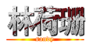 林荷珊 (sandy)