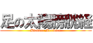 足の太陽膀胱経 (Bladder Meridian)