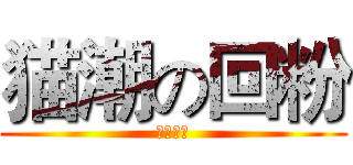 猫潮の回粉 (兰博巨基)