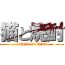 猫と焼酎 (attack on titan)