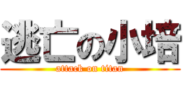 逃亡の小培 (attack on titan)