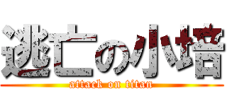 逃亡の小培 (attack on titan)