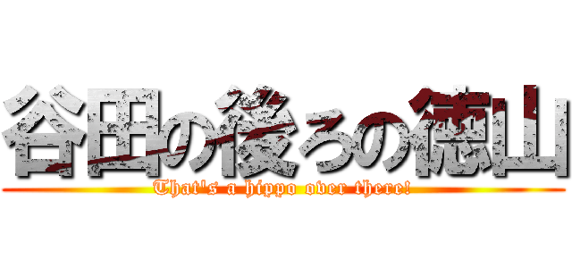 谷田の後ろの徳山 (That\'s a hippo over there!)