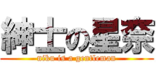 紳士の星奈 (niku is a gentleman)